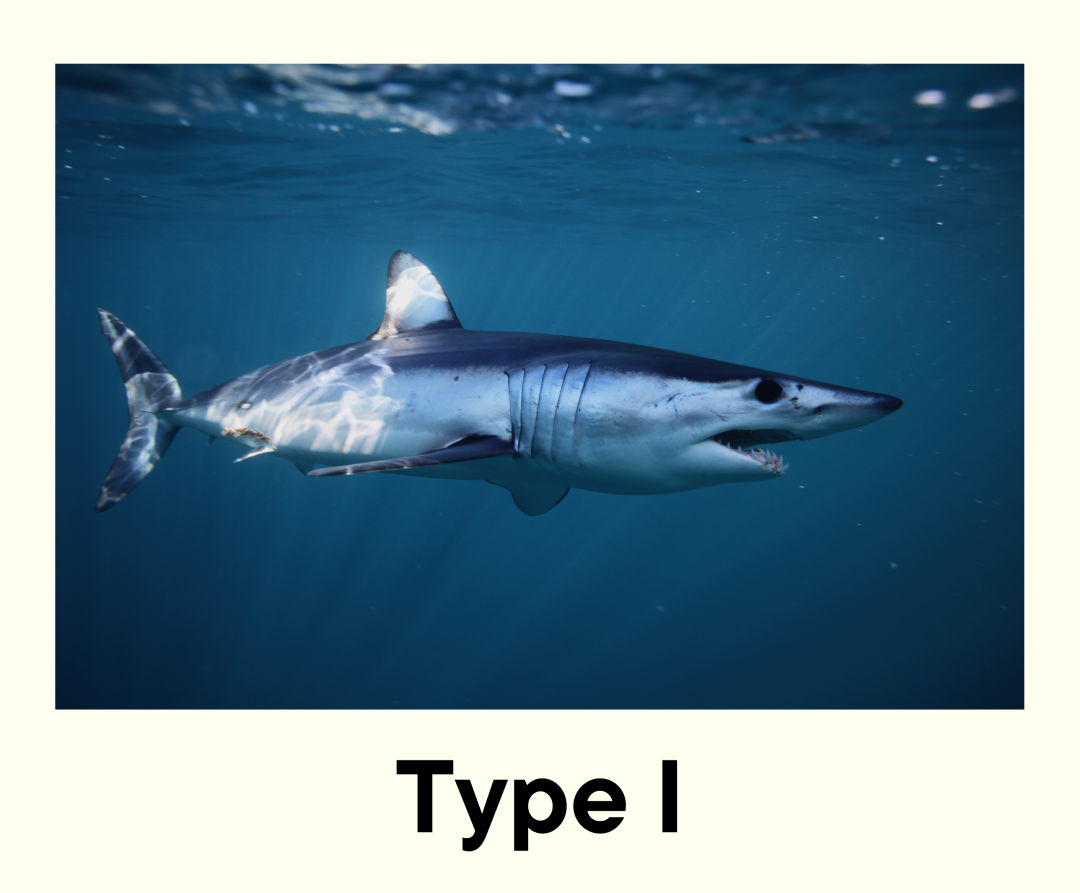 Type-I Sharks