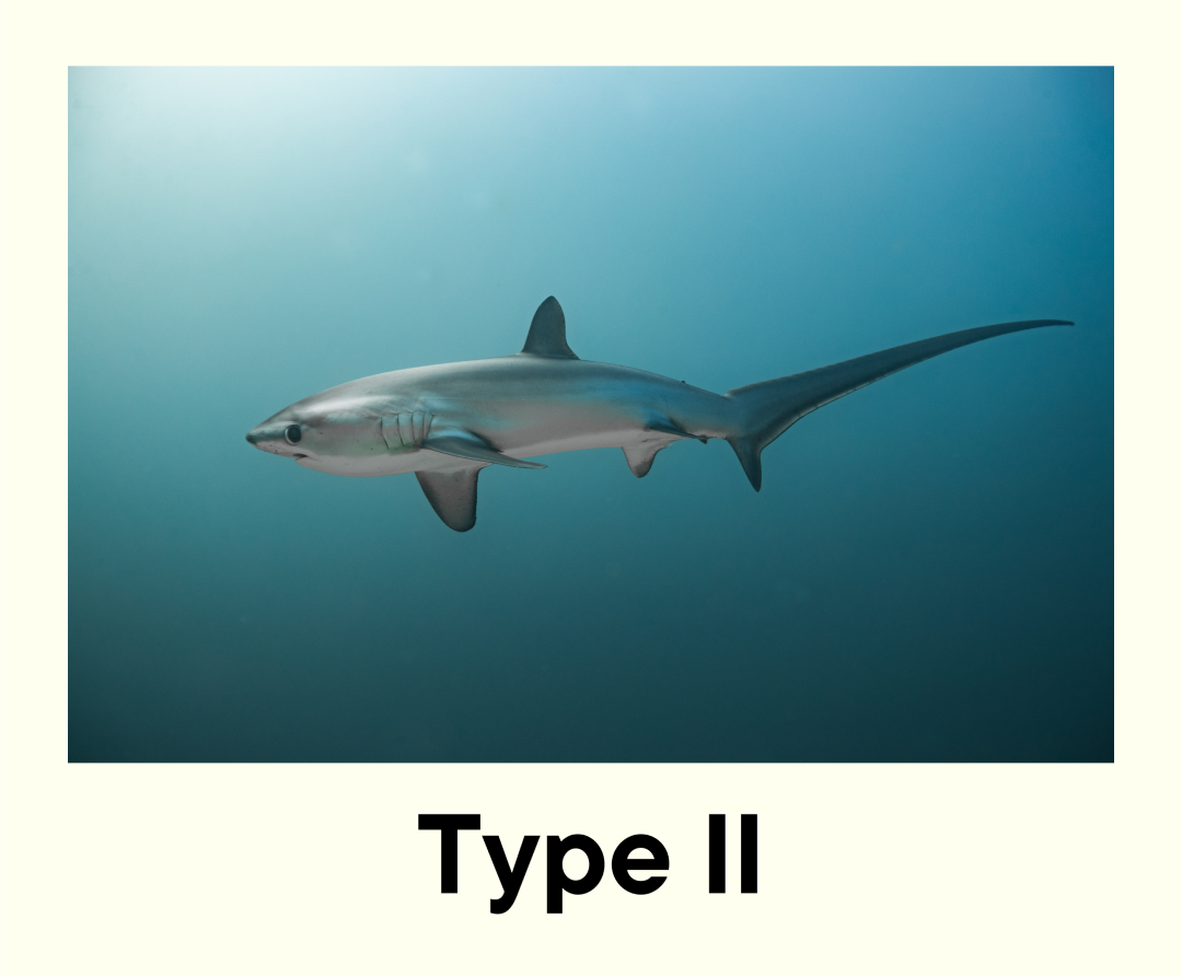 Type-II Sharks